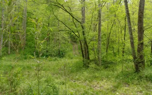 “the China Cave Tract” 447 Acres in Monterey, Tennessee