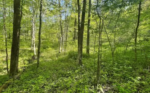 Washington County Ohio Land for Sale