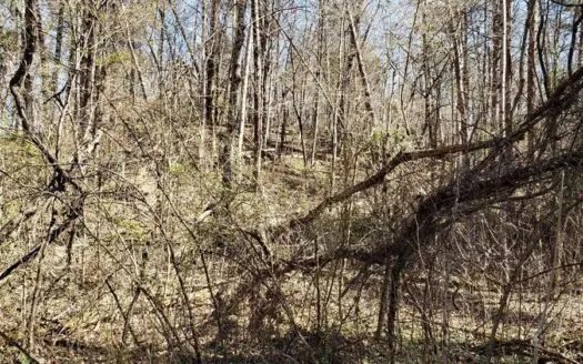 6 Acres Unrestricted Land for Sale in East Tn