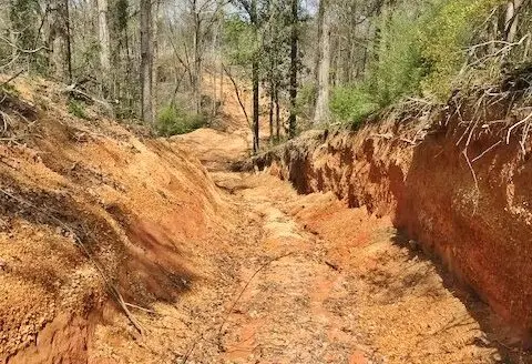 40 Acres Timberland for Sale Mccomb, Pike County, Ms- Sw Ms