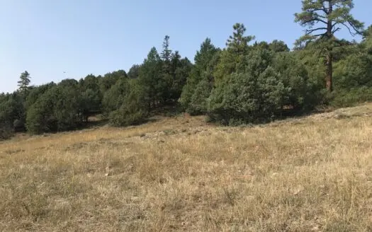 Recreational Land for Sale Near Chama Nm with Southern Exp