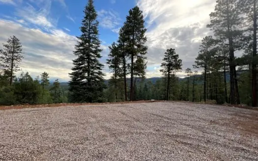 Gorgeous Mountain Property with Spectacular Views