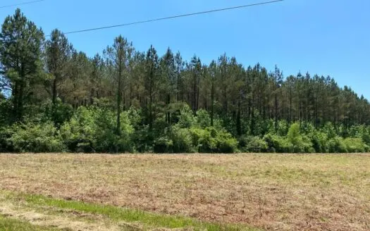 Land in Tn W/ Field, Cable Internet, Water, & Electricity