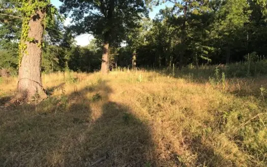 Acreage Close to Bull Shoals Lake