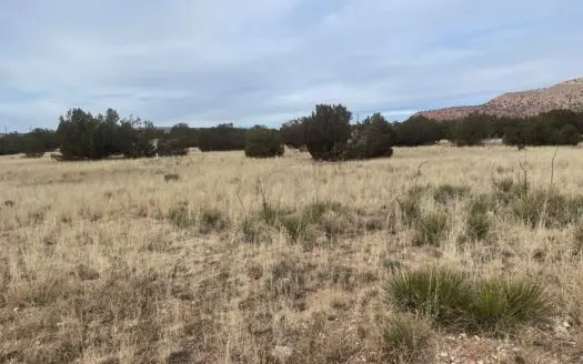 Rural Close to Town W/ Septic & Electric Available 1.41 Acre