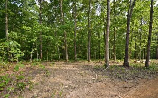 2.7 Ac Vacant Land for Sale Unrestricted