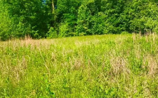 Land for Sale- Hunting, Recreational and Homesite, Bath Co