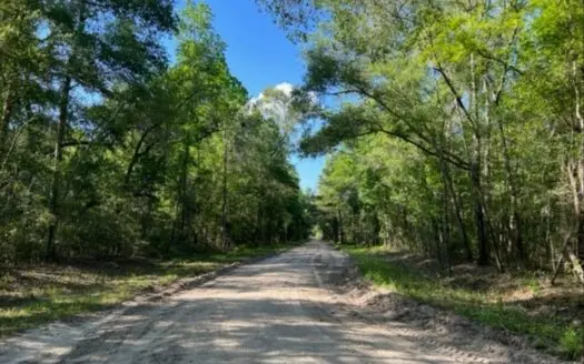 Suwannee River Front Property for Sale in Jasper, Florida