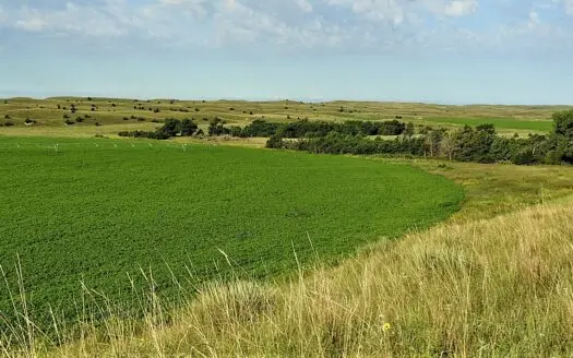 Knievel Nebraska Sandhills  Farm & Ranch for Sale