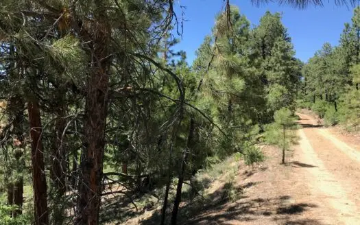 Northern Nm Land for Sale Chama Nm Mountain Real Estate