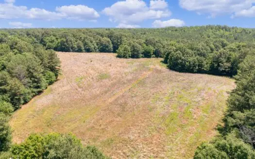 Farming – Hunting – Building Sites -west Tn Land for Sale