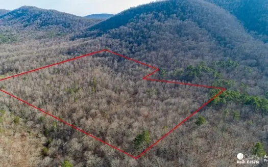 Marvelous Hunting Land in the Ouachita National Forest