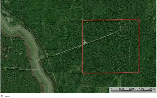 Louisiana Land for Sale / Recreational / Hunting
