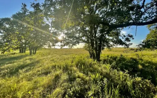 40 Acres – Beautiful Land in Convenient Location