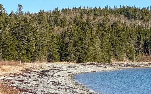 Coastal Land for Sale