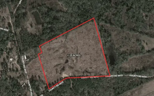 Land for Sale in Shelby County Texas