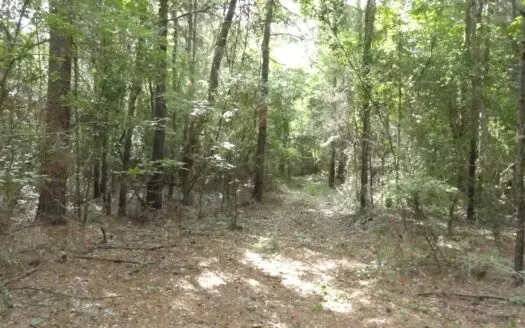 East Texas Land for Sale