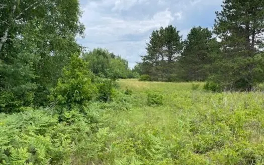 40+ Acres Of Wooded Land for Sale Near Cloverdale Mn