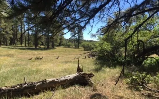 Chama Nm Land for Sale Recreational Fishing / Horse Acreage