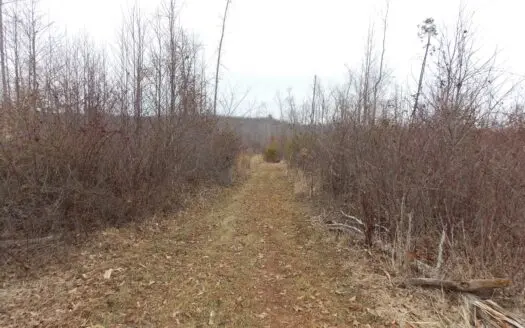 Recreational Land for Sale in Patrick County Va