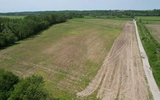 88.99+/- Acres Partial Levee Protected Bottom Farm