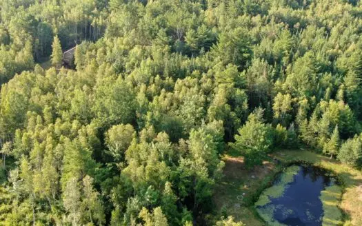 Solar Powered Cabin on 89.2 Acres