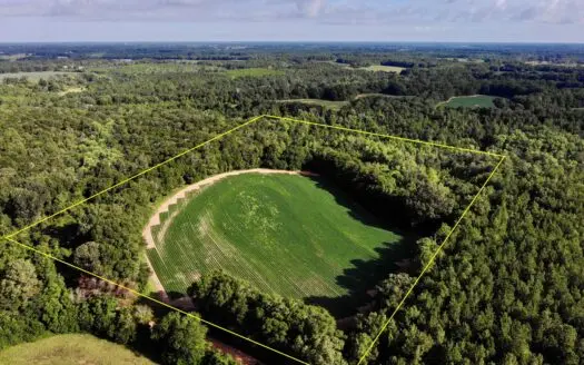 18.6ac Geneva County Al Land for Sale – Chancellor – Hunting