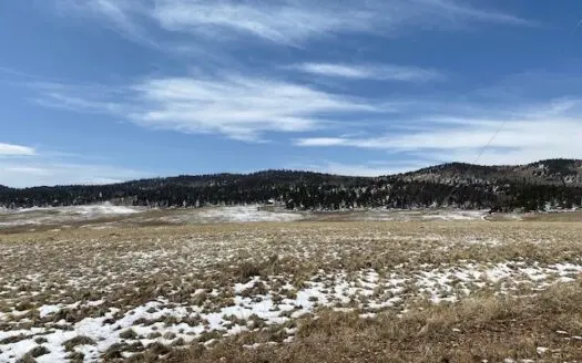 Beautiful 6 Acre Lot for Sale in Hartsel, Co