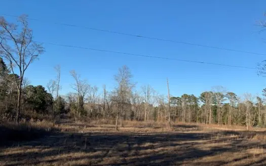 20 Acres in Hallsville Texas