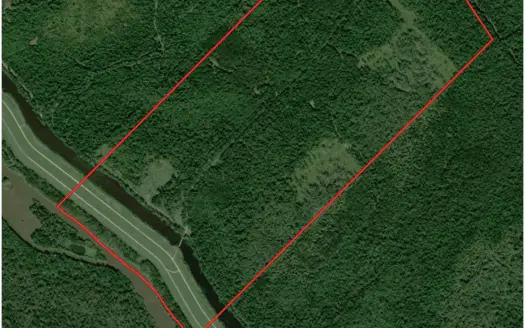 Hunting Recreational Property / Land for Sale in Louisiana