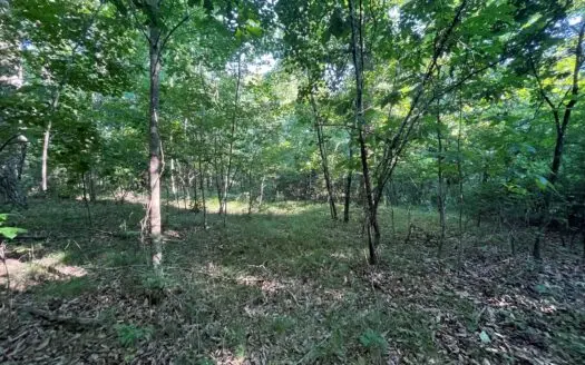 Peaceful 21.52 +- Acres for Sale on the Cumberland Plateau