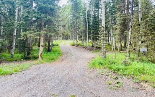 Rv Lot in Cimarron Colorado