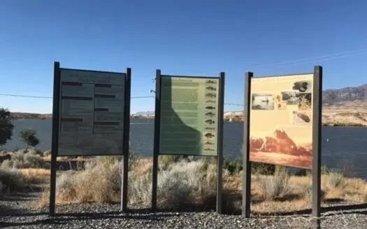 Land for Sale Zoned for Livestock and Residential