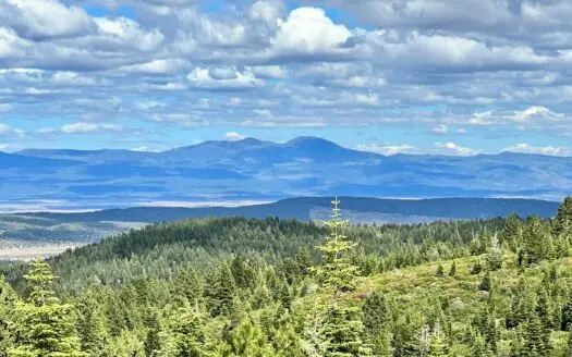 1 Acre Corner Lot in California Pines in Northern, Ca