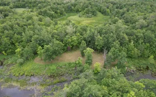 59 +/- Acre Hunting Property for Sale in Becker County!
