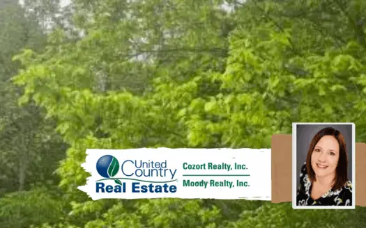 Acreage Bordering National Forest for Sale in Alton, Mo