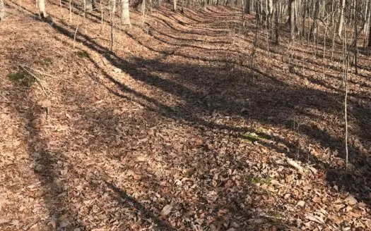 Land for Sale, Bath Co. Kentucky