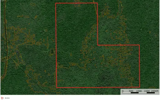 Louisiana Land for Sale / Recreational / Hunting