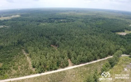 Estill / Nixville Timber and Hunting Land