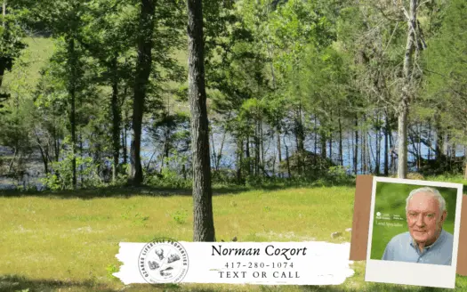 Acreage with Spring & Beaver Lodge for Sale in Thayer, Mo