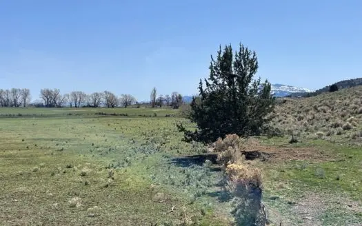 271 Acres in Surprise Valley