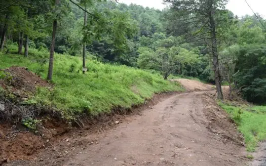 Recreational Land for Sale in Floyd County Va