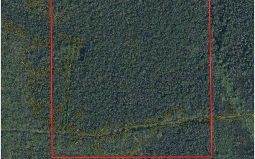 Louisiana Land for Sale / Recreational / Hunting