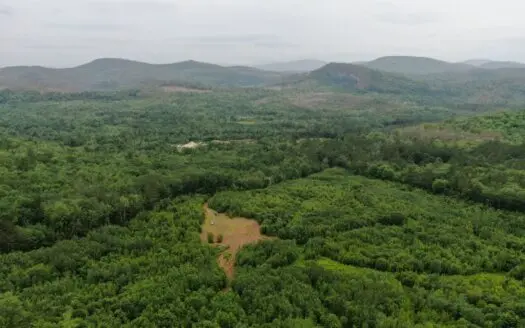 49± Acre Recreational Buildable Lot