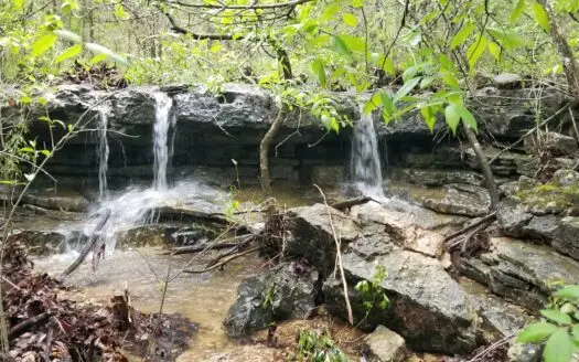 Vacant Land for Sale in Berryville, Ar