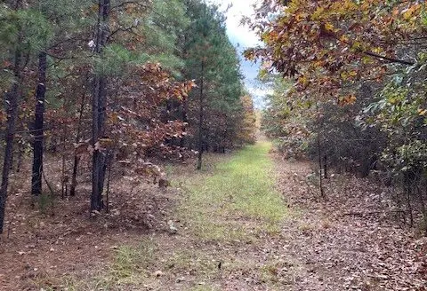 Rural Southeast Oklahoma 60.44 Acres