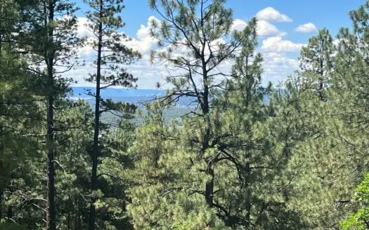 Gorgeous Mountain Property with Panoramic Views