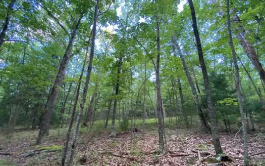 Recreational Land for Sale in Elliston Va