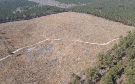 Timber Investment Property Nevada County Arkansas