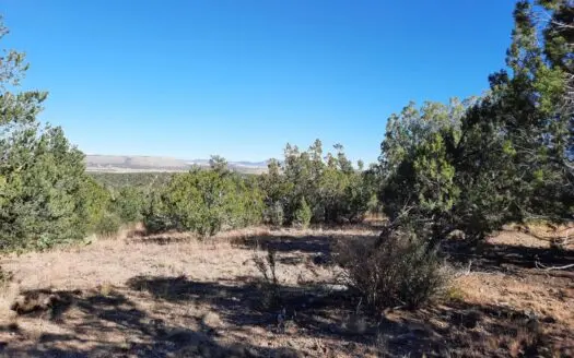 On Grid or off Grid Your Choice